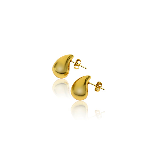 Golden Drop Earrings